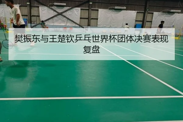樊振东与王楚钦乒乓世界杯团体决赛表现复盘